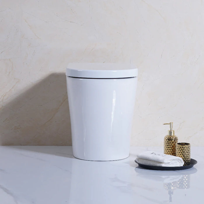 Poseidon Avis Full Rimless In Wall Toilet Suite Pan