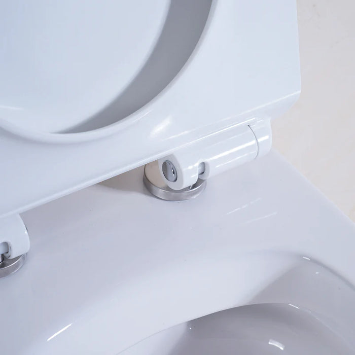 Poseidon Avis Full Rimless In Wall Toilet Suite Pan
