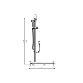 Parisi Envy Sliding Grab Rail Left Hand with Hand Shower
